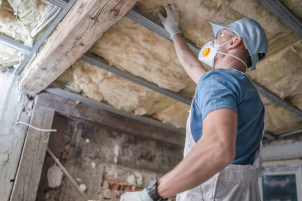 Best Spray Foam Insulation  in Skagway, AK